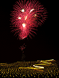candle&fireworks.gif